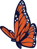 A butterfly in the air